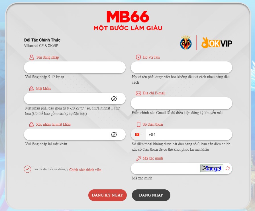 Điền mẫu thông tin đăng ký MB66 theo mẫu